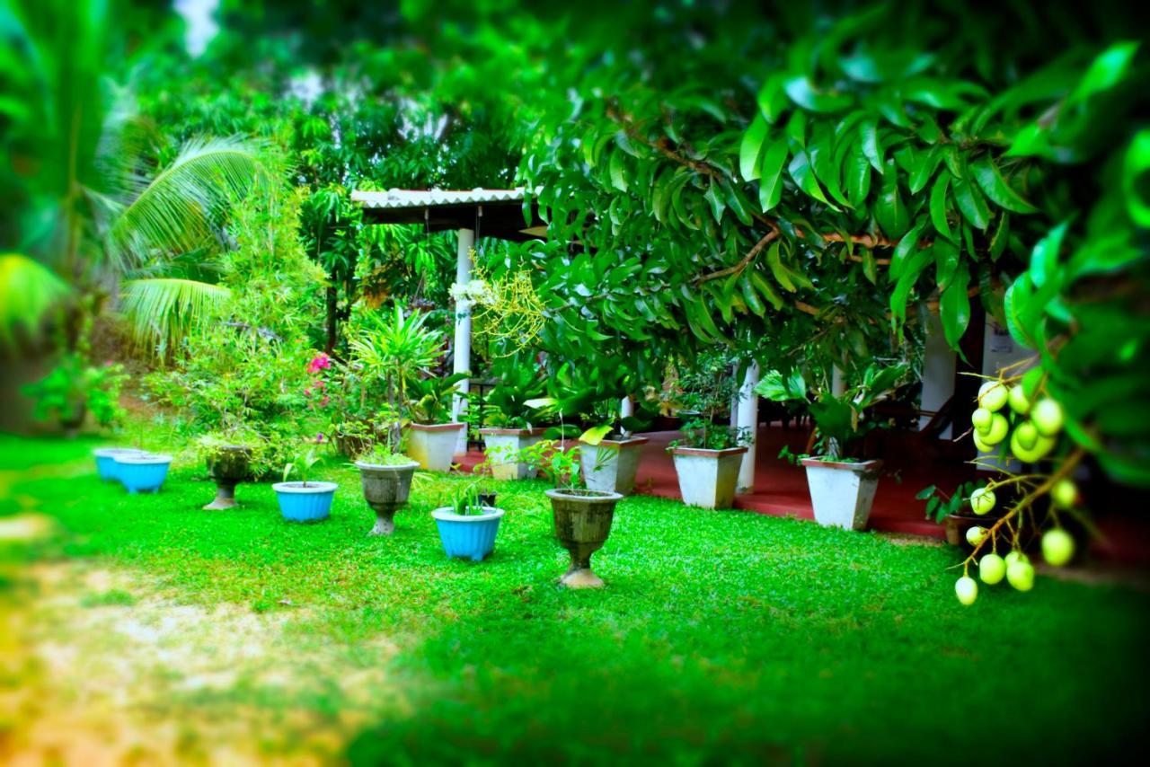 Brookline Safari Resort Udawalawe Exterior foto