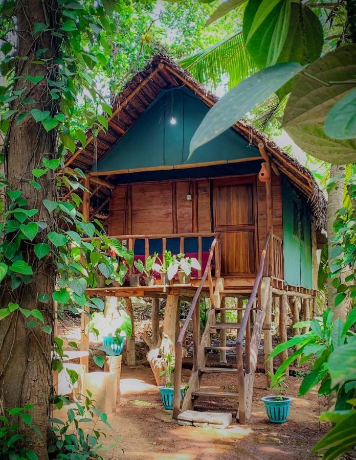 Brookline Safari Resort Udawalawe Exterior foto